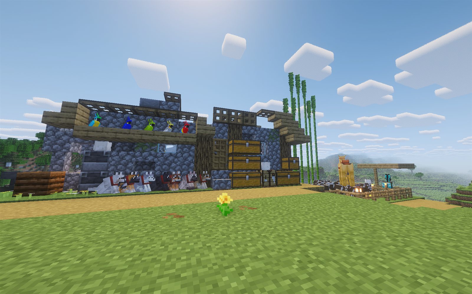 the base with parrots and wolves
